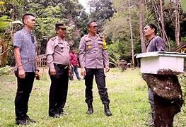 Peternakan Madu Hutanamora